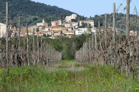 Esperienza Sensoriale: Storia di Vino Suvereto